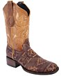 Botas Rodeo Piel Napa Color Café-Oro WD 11-340