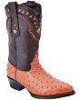Botas Vaqueras De Avestruz Color Cognac 900 WD 11-179