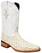 Botas Vaqueras Oso Hormiguero Imitación White Diamonds Boots Blanco 11-164