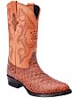 Botas Vaqueras Grabado Oso Hormiguero Color Cognac WD 11-245