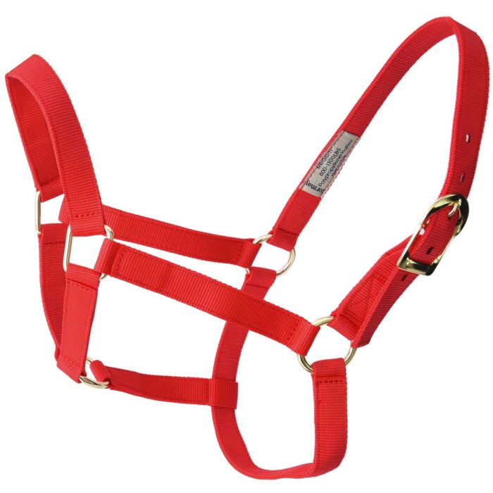 Amartigón WD 936 Rojo
