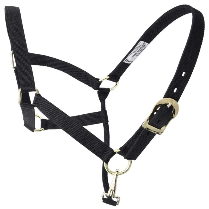 Amartigón WD 937 Negro