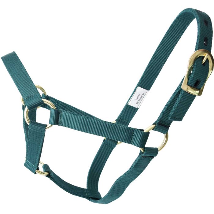 Amartigón WD 938 Verde