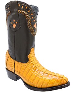 Botas Vaqueras Cocodrilo Horma 900 Color Mantequilla WD 11-197