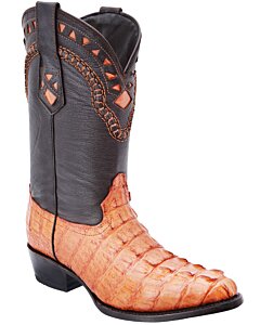 Botas Vaqueras Cocodrilo White Diamonds Boots 11-199 Color Cognac
