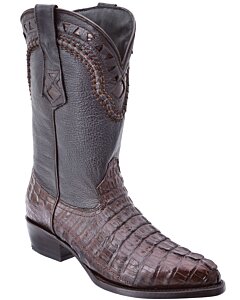 Botas Vaqueras Cocodrilo Color Café WD 11-200