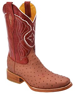 Botas Rodeo Avestruz Clón WD Boots 343 Cognac