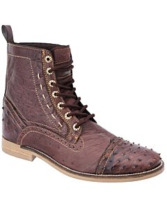 Zapatos Avestruz WD Boots 443 Café