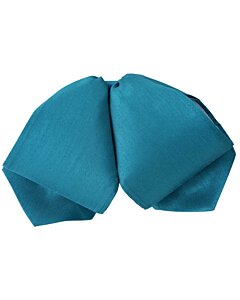 Moño Charro Fino Color Azul Liso WD 11-983