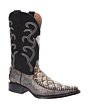 Botas Vaqueras Monster Fish Clón Color Negro Con Brillo WD 11-103