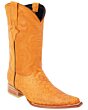 Botas Vaqueras Grabado Oso Hormiguero Color Mantequilla WD 11-111