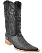 Botas Vaqueras Grabado Oso Hormiguero Color Negro WD 11-115
