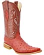Bota Vaquera Piel Grabado Avestruz Color Cognac WD 11-121