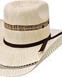 Sombrero Económico WD 10-721 Ala 4 Zoom