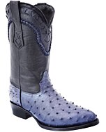 Botas Vaqueras Avestruz Color Blue Jeans WD 11-187
