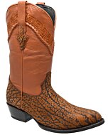 Botas Vaqueras Cuello De Toro Color Miel WD 11-221