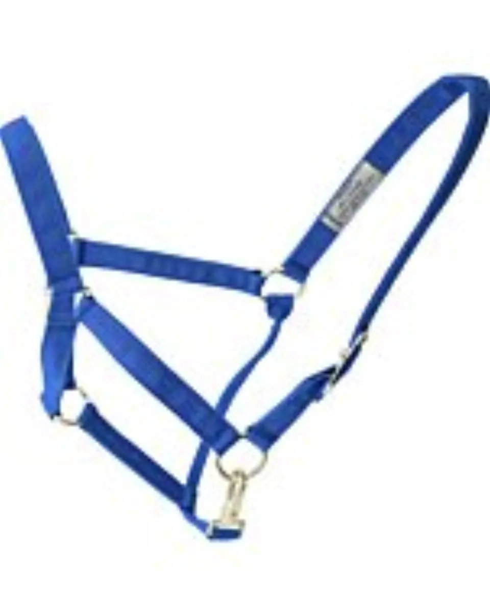 Amartigón WD 935 Azul